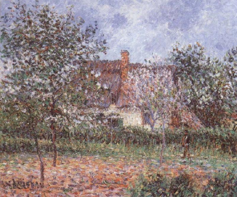 Gustave Loiseau Orchard in Spring china oil painting image
